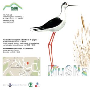 logo_Museo