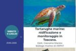 Miniatura per l'articolo intitolato:Natura sotto le stelle