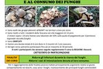 Miniatura per l'articolo intitolato:CORSO REGIONALE PER LA RACCOLTA E IL CONSUMO DEI FUNGHI 2026